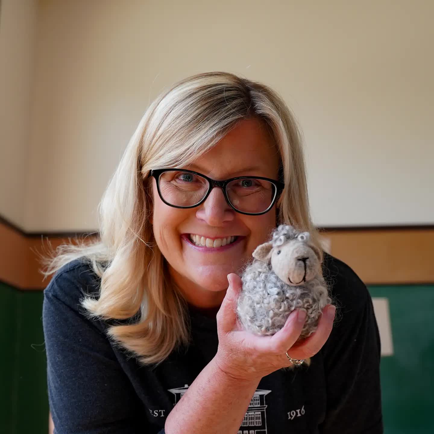 Black Sheep Needle Felting Kit