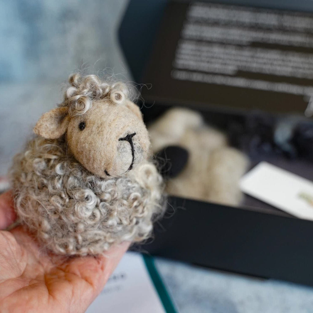 Black Sheep Needle Felting Kit